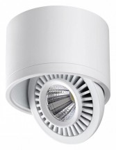 Точечный светильник Novotech Gesso 358811