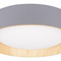 Потолочный светильник Loft IT Coin 10202 Grey