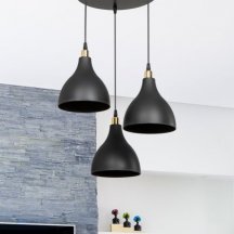 Подвесной светильник Toplight Marjory TL1615H-03BK