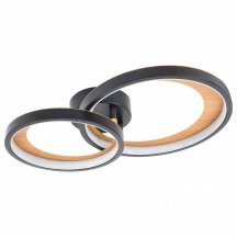 Накладной светильник Escada Callisto 10265/2LED