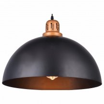 Подвесной светильник Arte Lamp Eurica A4249SP-1BK из Италии