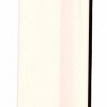 Настенный светильник уличный Favourite Paolo 4395-1W