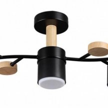 Потолочная люстра Lumion Crypto 8194/5C