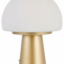 Интерьерная настольная лампа Favourite Hongo 4450-1T