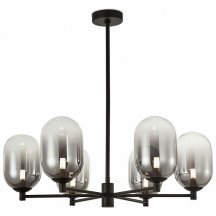 Потолочная люстра Freya Tesse FR1011PL-06B