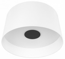 Потолочный светодиодный светильник Loft IT Duo 10360L White