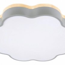 Потолочный светильник Loft IT Axel 10225/36 Grey