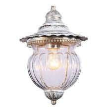 Уличный подвесной светильник Feron Флер PL595 41169