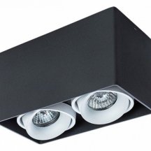 Потолочный светильник Arte Lamp Pictor A5654PL-2BK