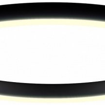 Потолочный светильник 0520826