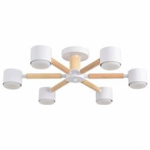 Потолочная люстра Lumion Vudi 8306/6C