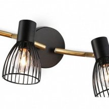 Настенно-потолочный спот Ambrella light TRADITIONAL TR8662