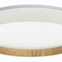 Настенно-потолочный светильник Citilux Etalon CL750240