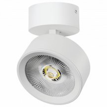 Спот Alta Pro A5636SO