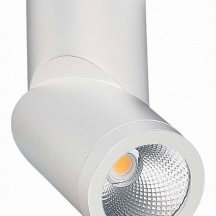 Светодиодный спот ST Luce ST650.542.10