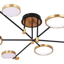 Люстра для натяжного потолка Arte Lamp Holly A1364PL-6PB