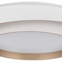 Потолочный светильник Evoluce Crosby SLE6009-502-01