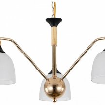 Подвесная люстра Escada Actinidia 2123/3P