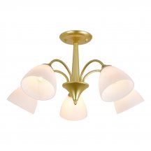 Потолочная люстра Ilex ES0000033