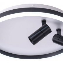 Потолочный светильник Raizy ZRS.1888.01 Потолочный светильник Raizy ZRS.1888.01