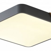 Потолочный светильник Alberro ZRS.01288.36