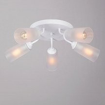 Потолочная люстра Vitaluce V3762-0/5PL