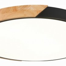 Потолочный светодиодный светильник Evoluce Festa SLE200942-01