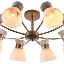 Потолочная люстра Wendy 9184-308