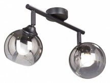 Спот Vitaluce V4313-1/2PL