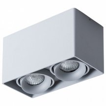 Потолочный светильник Arte Lamp Pictor A5654PL-2GY