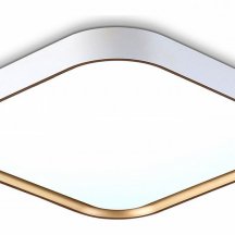 Потолочный светодиодный светильник Ambrella light Orbital Air FZ1253