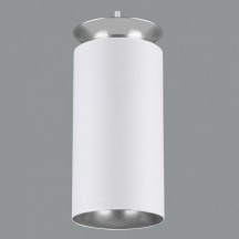 Подвесной светодиодный светильник Elektrostandard DLS021 9+4W 4200К белый матовый/серебро 4690389144288