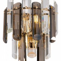 Настенный светильник для коридора maytoni  dIA200WL-02G