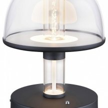 Интерьерная настольная лампа Favourite Flaska 4312-1T