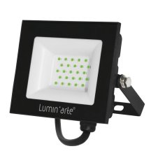 Прожектор уличный Luminarte LFL-30W/07