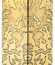 Настенный светильник Brando 7173/10WL