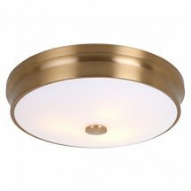 Потолочный светильник на кухню Favourite  2375-3C