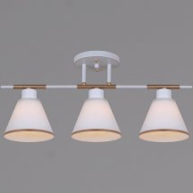 Потолочная люстра Reluce 07594-0.3-03 WG