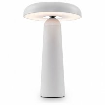 Интерьерная настольная лампа Freya Mushroom FR6109TL-L4W