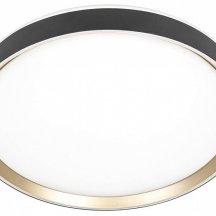 Накладной светильник Citilux BOSS CL751451G