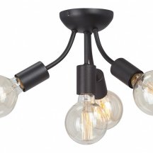 Потолочная люстра Vitaluce V3927-1/4PL