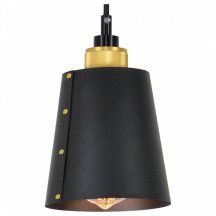 Подвесной светильник лофт Lussole  lSP-9861