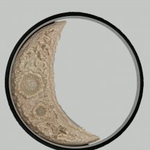 Настенный светильник Alfa Light F0324-40