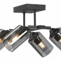 Потолочная люстра Vitaluce V2833-1/4PL