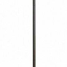 Торшер Lussole Escambia LSP-0657