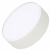 Потолочный светильник для прихожей arlight  022228(2)