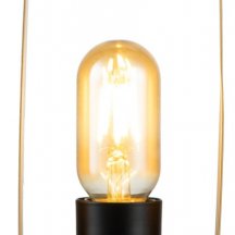 Настольная лампа Indigo Animo 10007/A/1T Black V000178