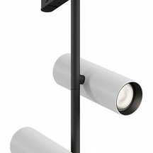 Трековый светильник Maytoni Elti Duo TR005-2-2X12W4K-BW