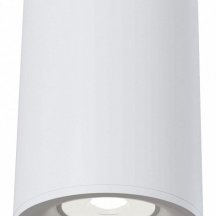 Потолочный светильник Maytoni Alfa C012CL-01W