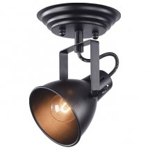 Потолочный светильник в стиле лофт Freya  fR4276-CW-01-B
